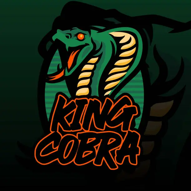 Vector illustration of King cobra's head illustration for t-shirt, wallpaper ora emblem. King cobra illustration isolated on dark green background.