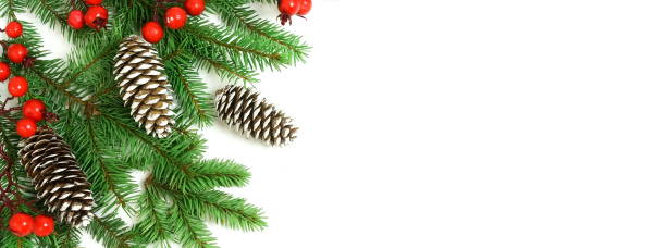 istock Christmas background banner isolated top view, copy space on white backdrop. Xmas  fir branches, red berries and cones frame. flat lay 1270379591