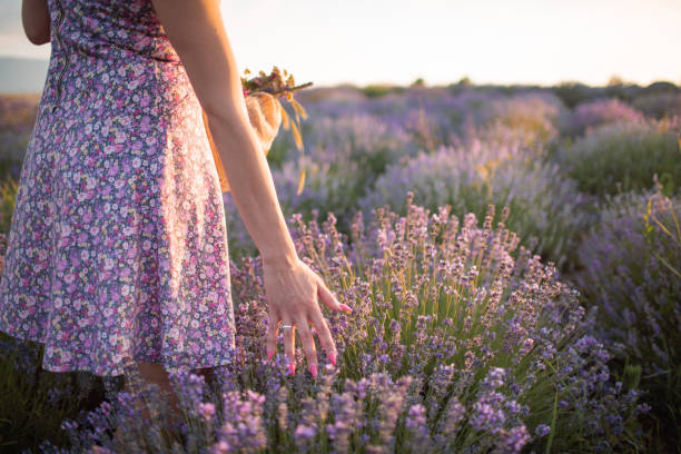 istock Smart looking sensual girl in lavender fields 1270379861
