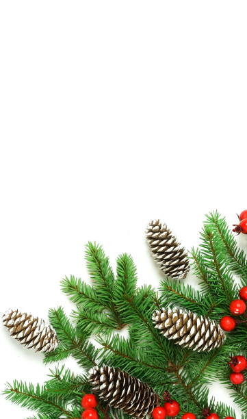 istock Christmas background isolated top view, copy space on white backdrop. Xmas  fir branches, red berries and cones frame. flat lay 1270379954
