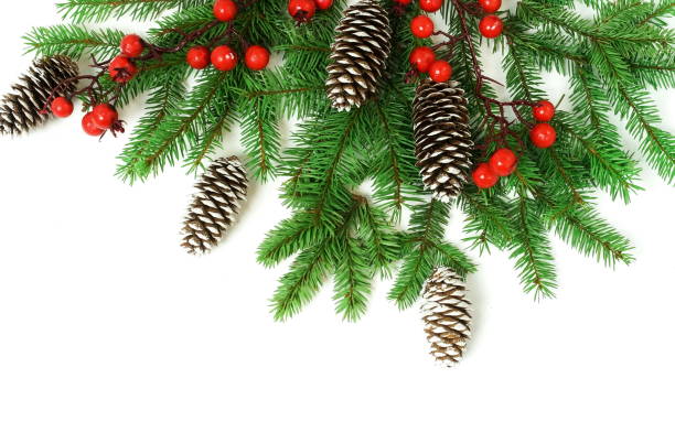 istock Christmas background isolated top view, copy space on white backdrop. Xmas  fir branches, red berries and cones frame. flat lay 1270380042