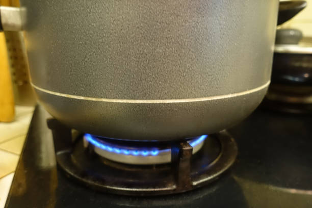 istock Dutch oven on a gas hob 1270381887