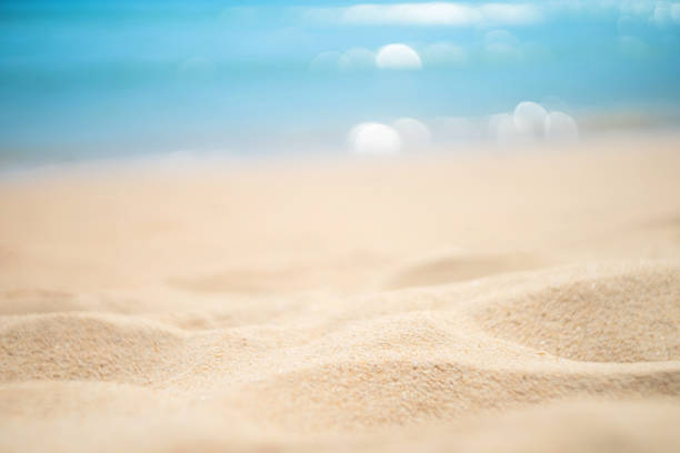 istock Blur beautiful nature green palm leaf on tropical sunset beach with bokeh sun light wave abstract background. 1270386666