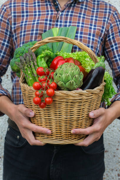 istock Assortment of ripe vegetables from orchard in farmer hands 1270386713