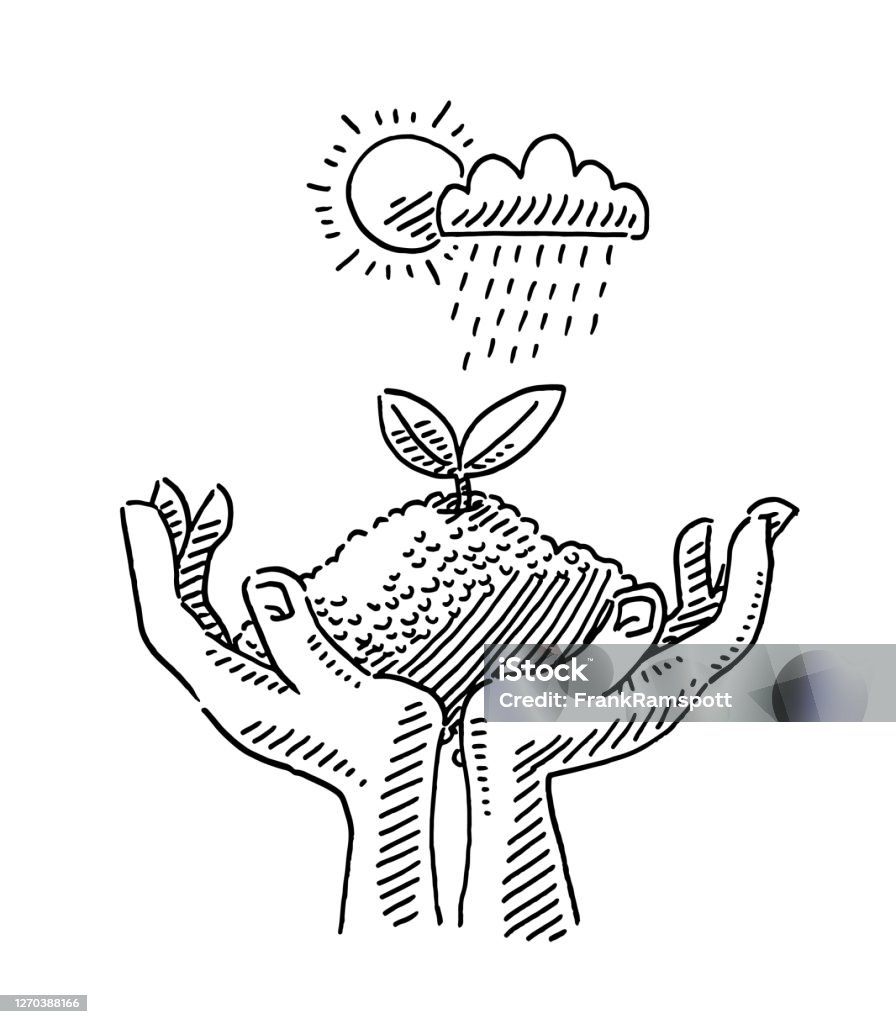 Ilustración de Cuidado Para La Naturaleza Manos Símbolo Dibujo y más  Vectores Libres de Derechos de Mano - Mano, Lluvia, Diseño de trazado -  iStock
