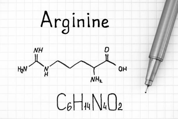 formula chimica dell'arginina con penna - arginine foto e immagini stock