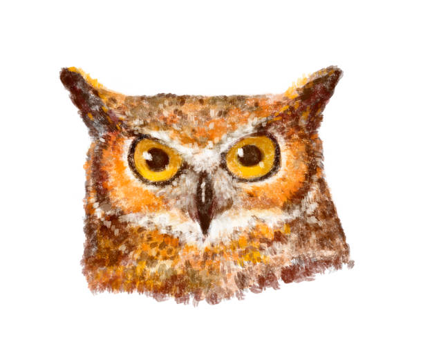 istock drawing of a portrait of an owl multicolored 1270389790