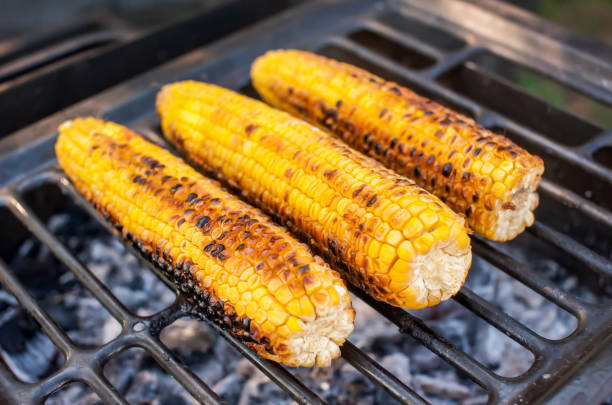 istock Ripe yellow corn is grilled. BBQ and grill 1270389850