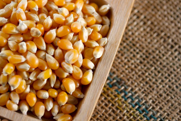 ボウルにトウモロコシの穀粒 - popcorn snack bowl corn ストックフォトと画像