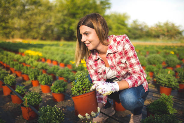 istock On my flower plantation 1270400380