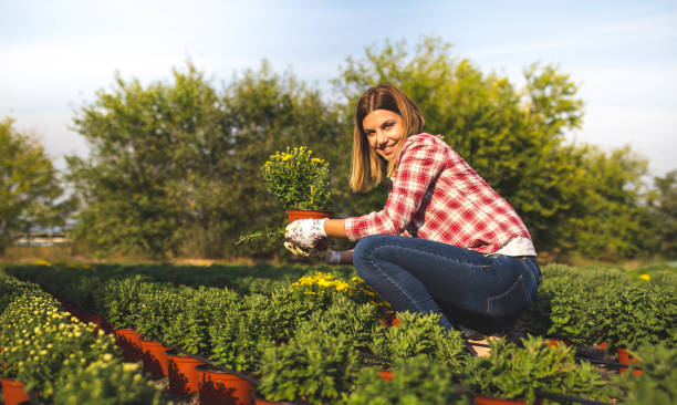 istock A young woman working on a flower plantation 1270400395