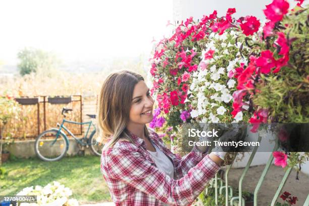 A Young Woman Takes Care Of Her Flowers Stock Photo - Download Image Now - Petunia, One Woman Only, Women
