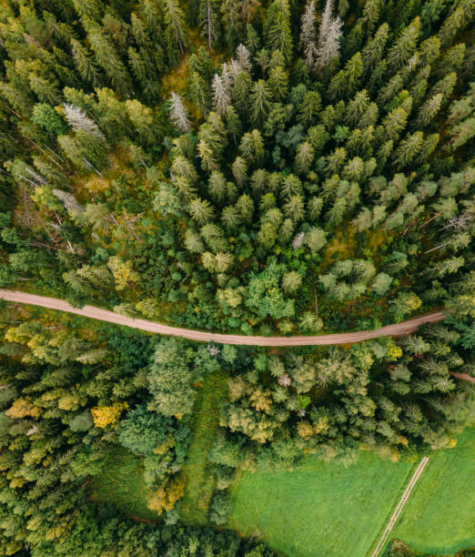 вид с воздуха на осенний классический финский пейзаж в национальном парке нууксио - coastline aerial view forest pond стоковые фото и изображения