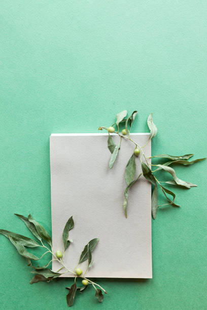 istock Notepad and branches in pastel gray-green tones on pastel green background 1270400938