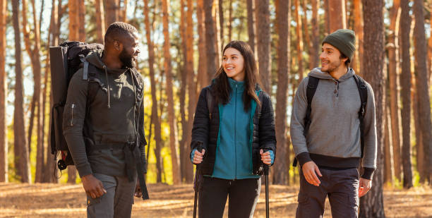 istock Multiracial group of hikers over forest background 1270401730