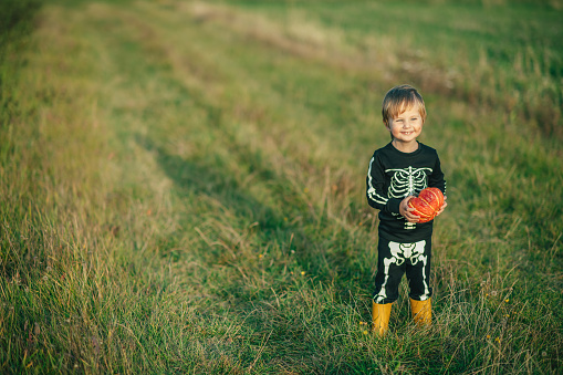 Cute child walking in the field in the evening