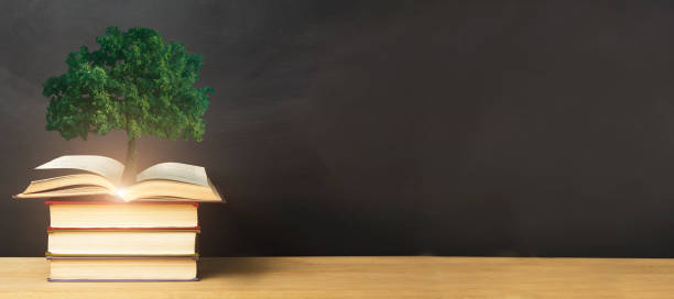 istock Tree Growing From Books Lying On Desk, Black Background, Collage 1270402210