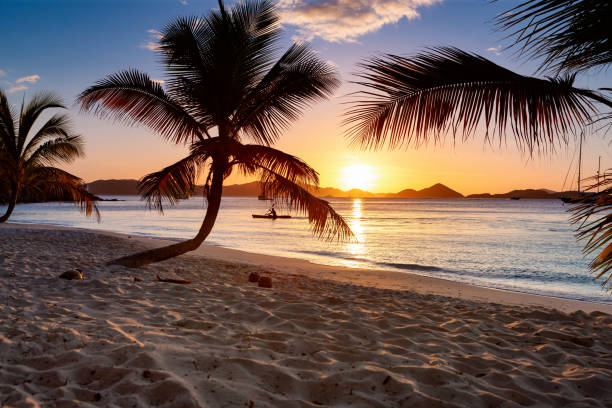 istock Sunset on a perfect tropical beach in caribbean 1270402603