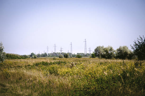 istock Electricity in wild 1270405150
