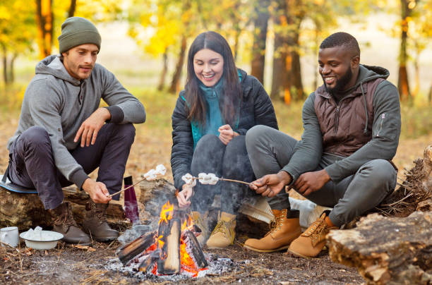 istock Joyful multiracial friends frying marshmallow, camping at forest 1270405177
