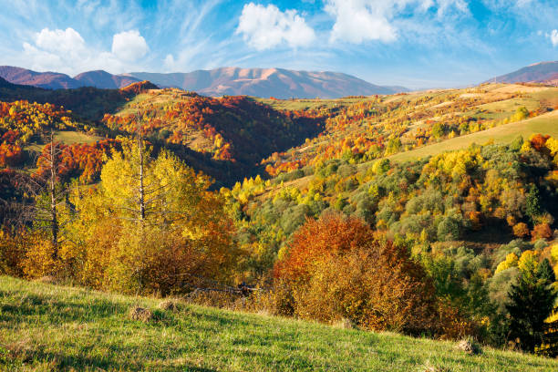 istock mountainous countryside scenery on a sunny day 1270406731