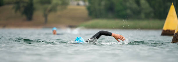istock Swimming in a lake 1270408582