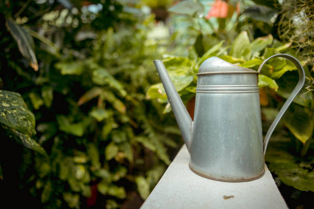 Outdoor gardening tools and flowers