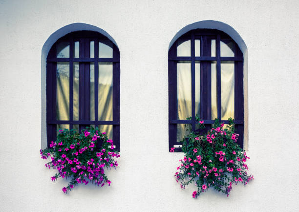 Windows and flowers Traditional Serbian house windows decorated with petunia flowers double hung window stock pictures, royalty-free photos & images