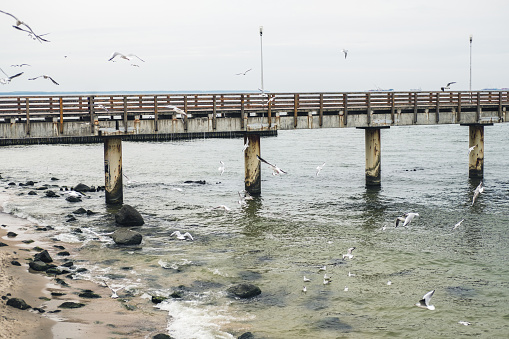 Sea pier on the seashore with seagulls flying over it
