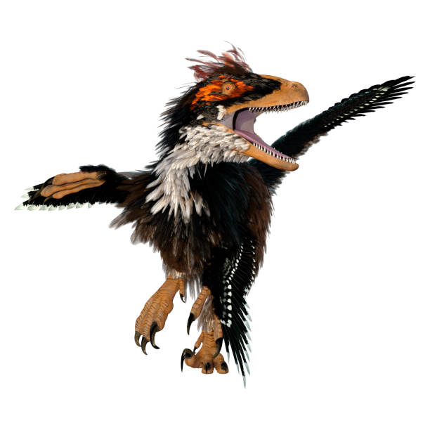 3D rendering of a dinosaur Deinonychus Antirrhopus isolated on white background