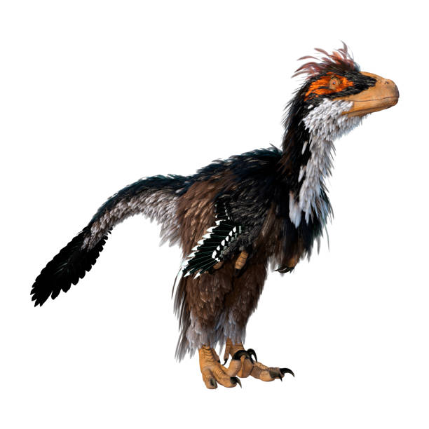 istock 3D illustration dinosaur Deinonychus on white 1270412903