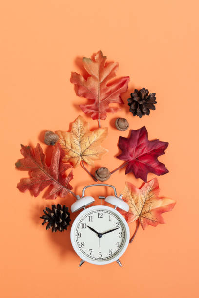 clock and leaves top view on orange background. autumn time. - clock time alarm clock orange imagens e fotografias de stock