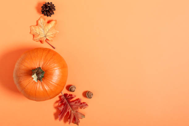 istock Pumpkin, dried leaves on orange background top view. Autumn composition. 1270415267