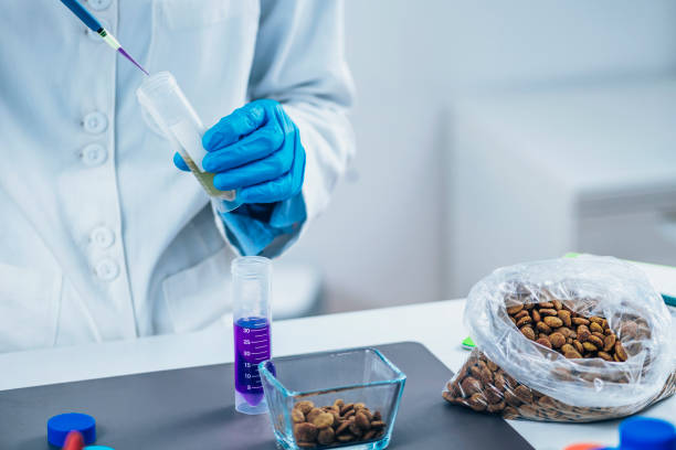 laboratorio de pruebas de alimentos para mascotas - bacterium biology control food fotografías e imágenes de stock