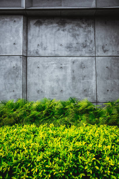 istock Concrete wall or marble wall and concrete floor with ornamental plants 1270416596