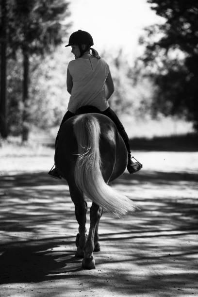 istock Woman horseback riding in forest 1270417195