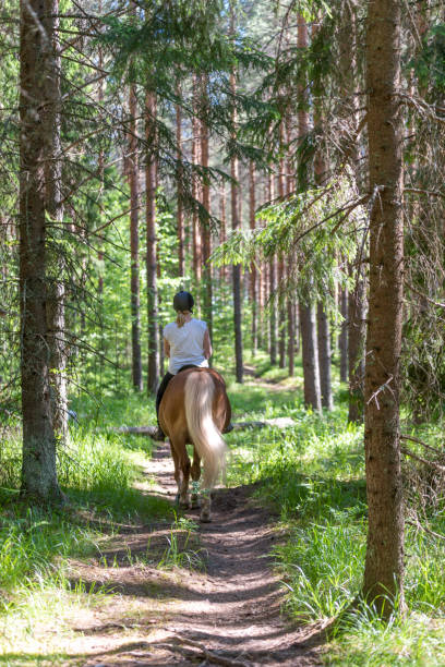 istock Woman horseback riding in forest 1270417216