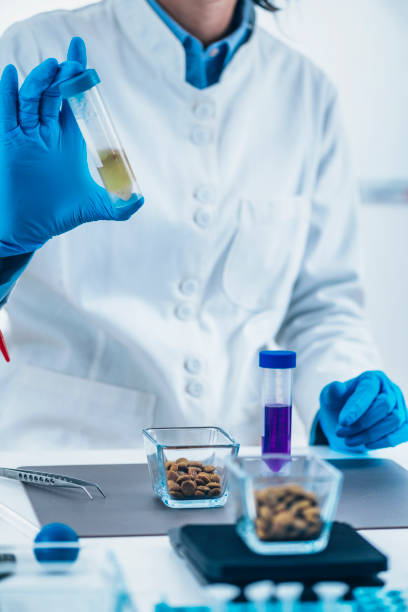 Laboratory Test Tube with Dry Pet Food Sample Dissolved in Water for Quality Control Analysis Laboratory test tube with dry pet food sample dissolved in water for quality control analysis. food sample cups stock pictures, royalty-free photos & images