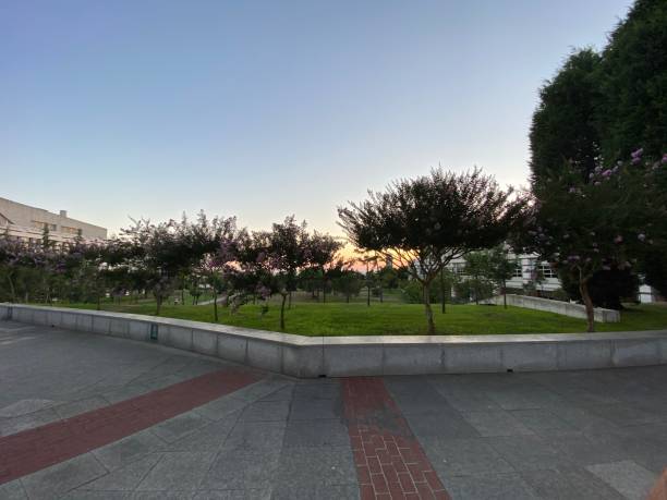 istock Concrete stone ground and green grass park with trees at beautiful sunset 1270421970