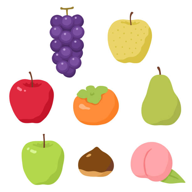 illustrazioni stock, clip art, cartoni animati e icone di tendenza di illustrazione di vari frutti autunnali - white background freshness variation brown