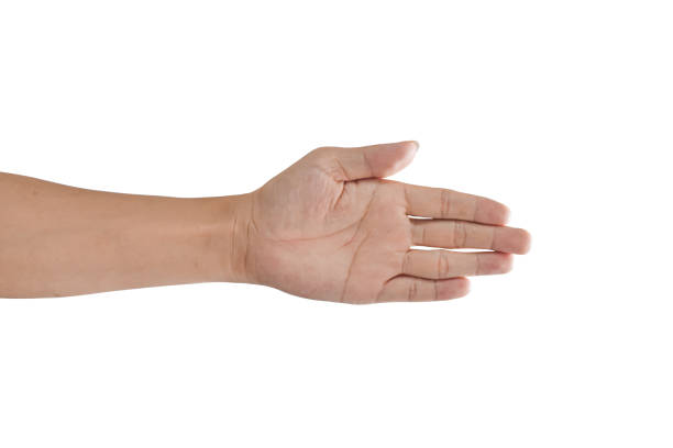 istock Left palm hand isolated on white background. with clipping path. 1270422908
