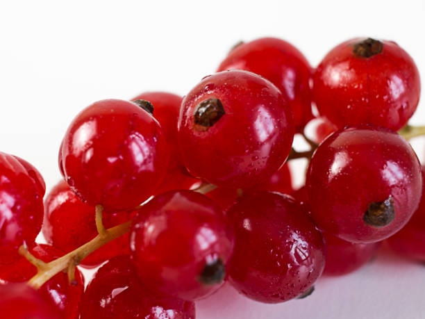 red currant berries on a white background, close-up, macro