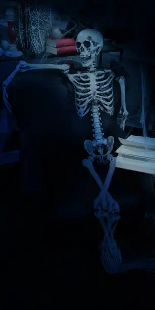 Photo of Skeleton sits in front of opened book in chair,black raven on his shoulder in modern interior of furniture store,covered with cobwebs,in darkness around.Concept of Halloween,horror and fear.Copy space