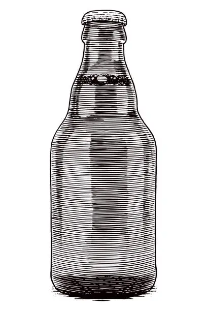 Vector illustration of Vector drawing of a beer bottle