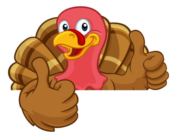 Turkey Thanksgiving or Christmas Cartoon Character Turkey Thanksgiving or Christmas bird animal cartoon character peeking over a background sign giving a thumbs up chicken thumbs up design stock illustrations