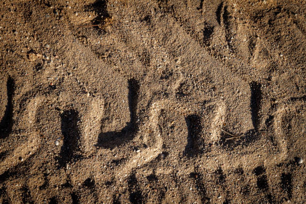 istock Background of scattered sand gravel 1270434678