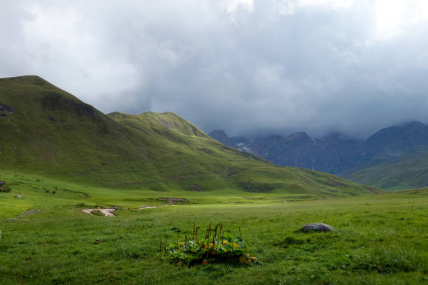 istock Green valley and mountains in the fog. 1270438608