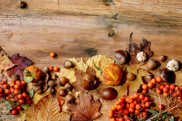 istock Autumn seasonal background 1270440787