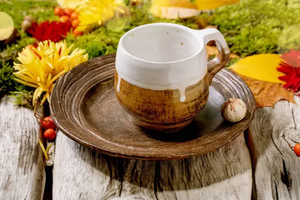 Autumn holidays table setting. Empty craft ceramic plate and mug on old wooden table decorated by fall yellow leaves, autumn berries, moss and flowers.