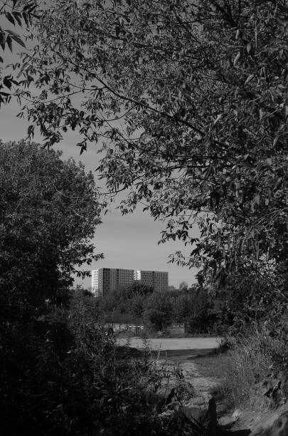 istock Narrow footpath between the trees with the skyscraper in the end 1270441188